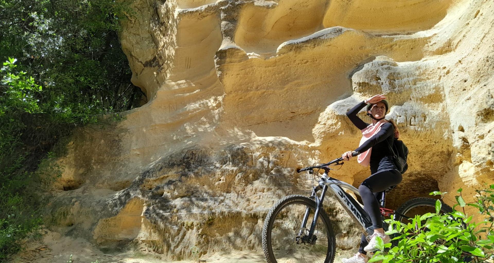 Tour guidati in bicicletta Bolgheri, Bibbona, Casale Marittimo, Cecina