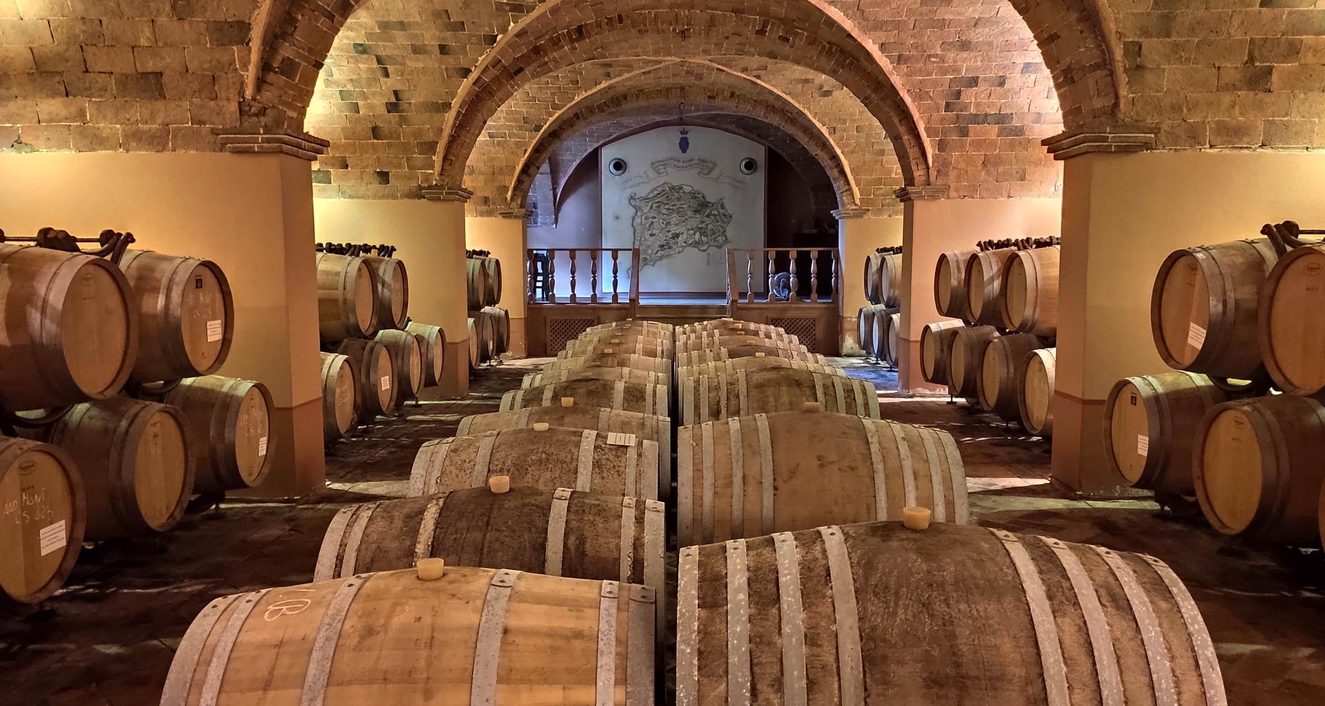 Degustazioni vino in cantina Bolgheri