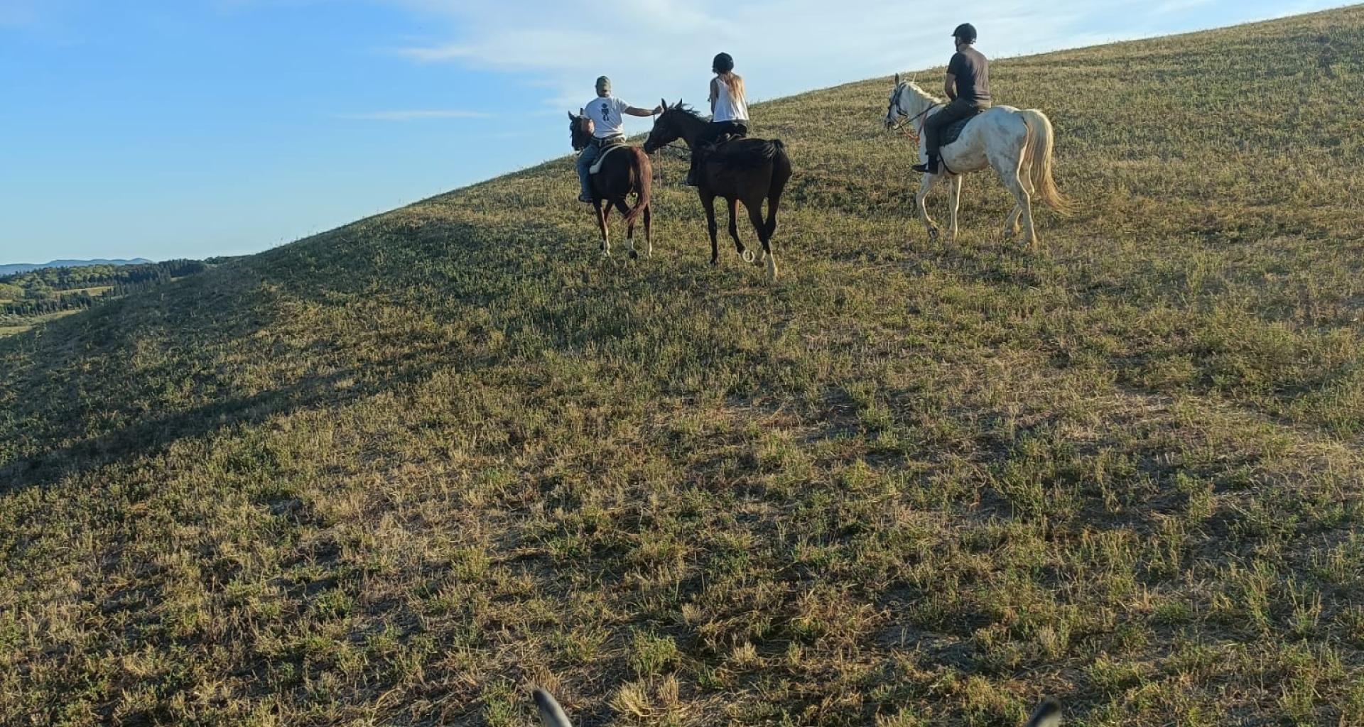 passeggiate a cavallo Bibbona