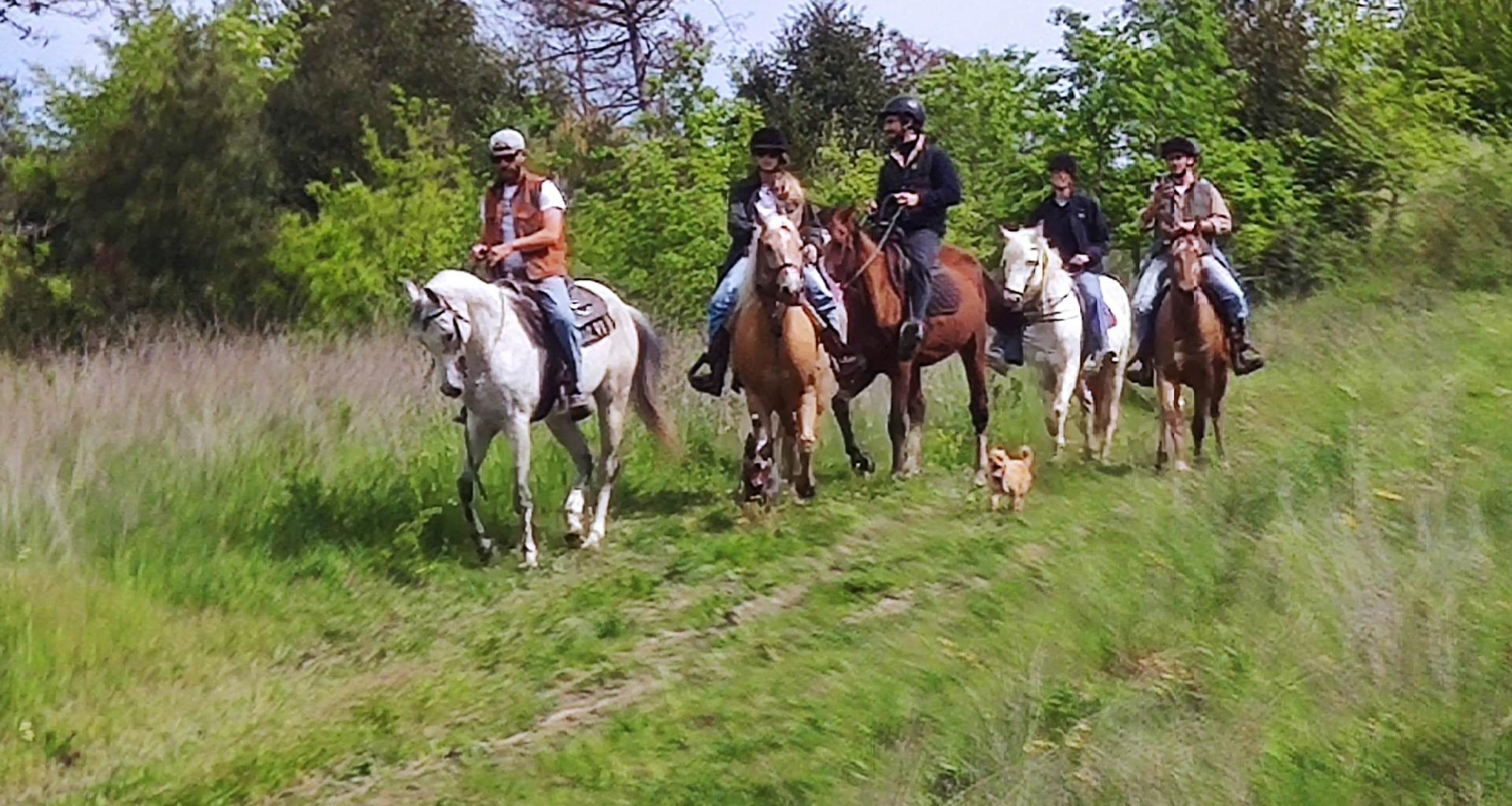 escursioni a cavallo vicino Bolgheri