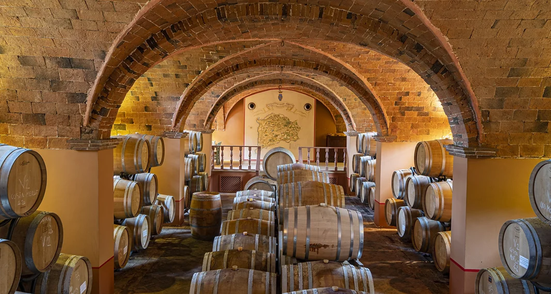 best wine tasting Bolgheri
